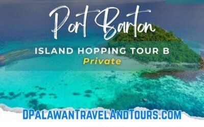 Port Barton Island Hopping Tour B (Private)