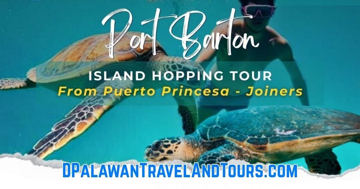 Island Hopping Day Tour from Puerto Princesa Joiners Port Barton San Vicente Palawan Philippines